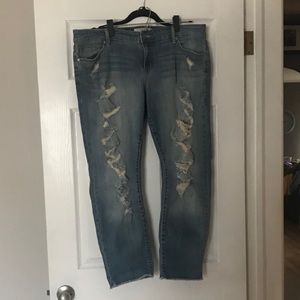Torrid Boyfriend Jeans